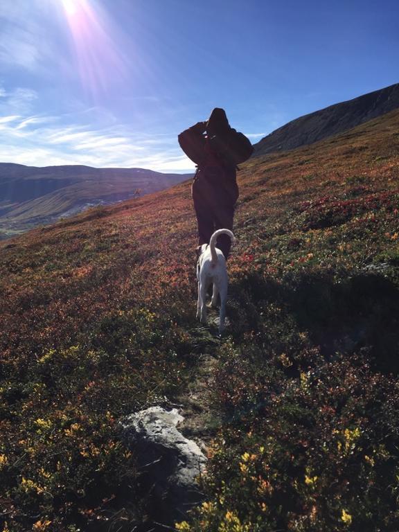 Magalaupe Camping Oppdal Dış mekan fotoğraf